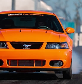 1994-2004 SN95 & New Edge Mustang TREMEC T5, TKX & Magnum